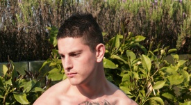 Fit Gymnast Joe 