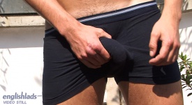 Straight Pup Liam 